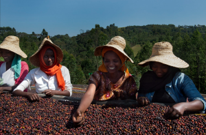 Mujeres de África Subsahariana trabajando en el sector agrícola