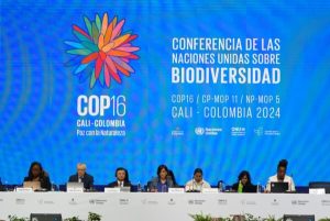 Conferencia de las Naciones Unidas sobre Biodiversidad